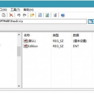 RegCool1.130单文件解除限制版，功能强大，推荐给大家